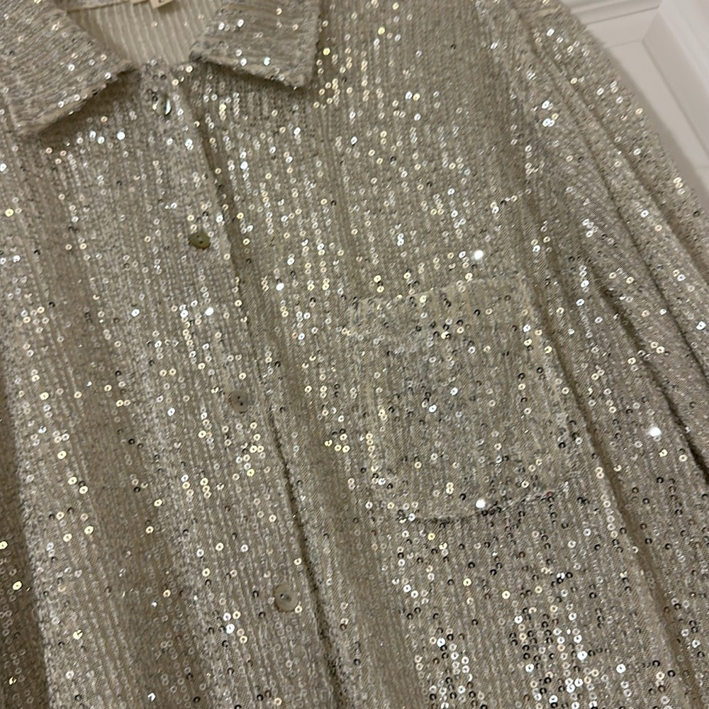 Nwot Silver Sequin Button Down - Large - image 3